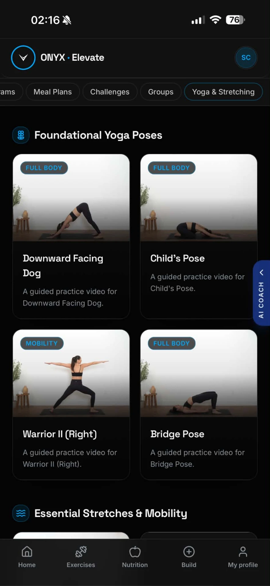 Onyx Elevate yoga and mobility sessions